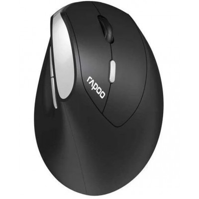 RAPOO 13531 MOU EV250 Siyah Kablosuz Ergonomik 1300DPI Mouse