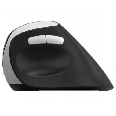 RAPOO 13531 MOU EV250 Siyah Kablosuz Ergonomik 1300DPI Mouse