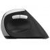 RAPOO 13531 MOU EV250 Siyah Kablosuz Ergonomik 1300DPI Mouse